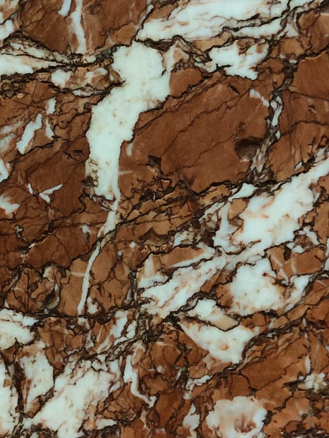 Photo prise avec le zoom x2