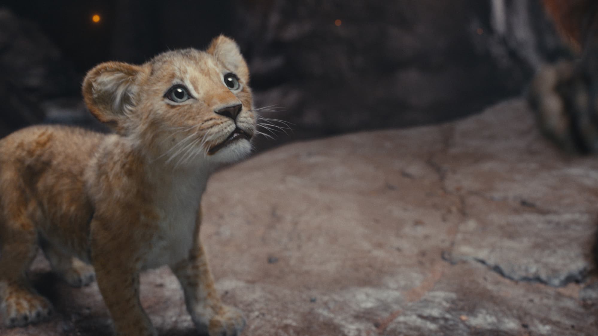 Le visage ultra expressif de Kiara dans Mufasa Le visage ultra expressif de Kiara dans Mufasa