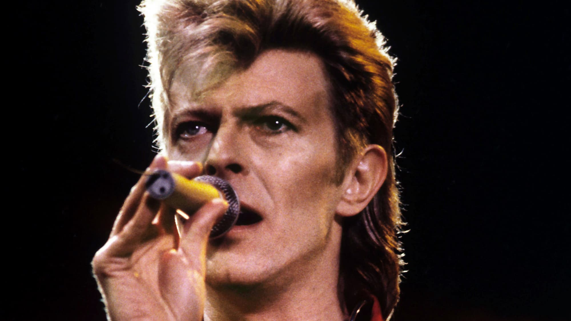 Un Nouvel Album De David Bowie Disponible Sfr Actus