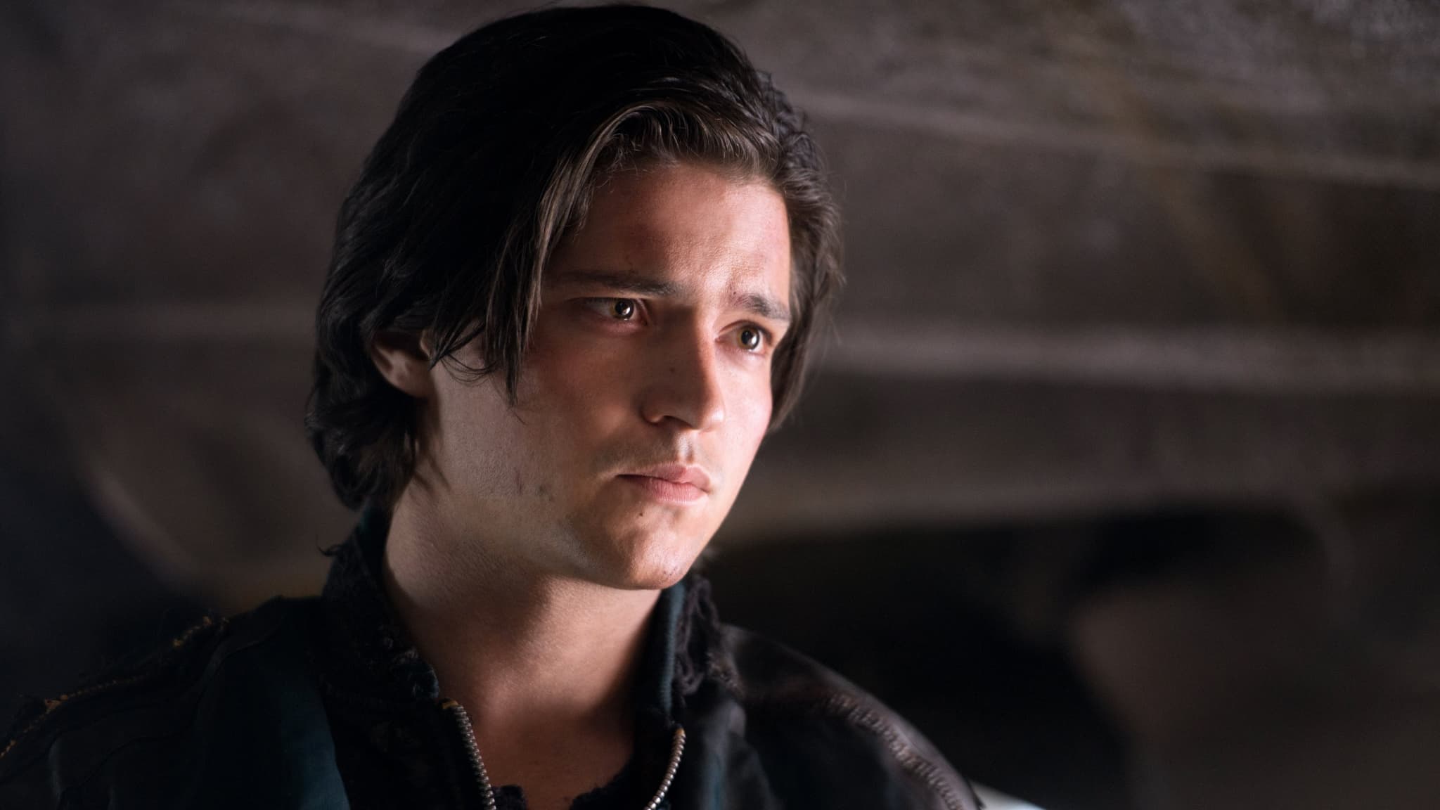 Le pauvre Finn Collins n'aura pas survécu à la saison 2 de The 100.