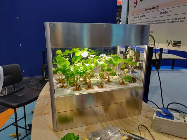 Growberry, une innovation vous permettant de faire pousser un potager en ville, même en intérieur.