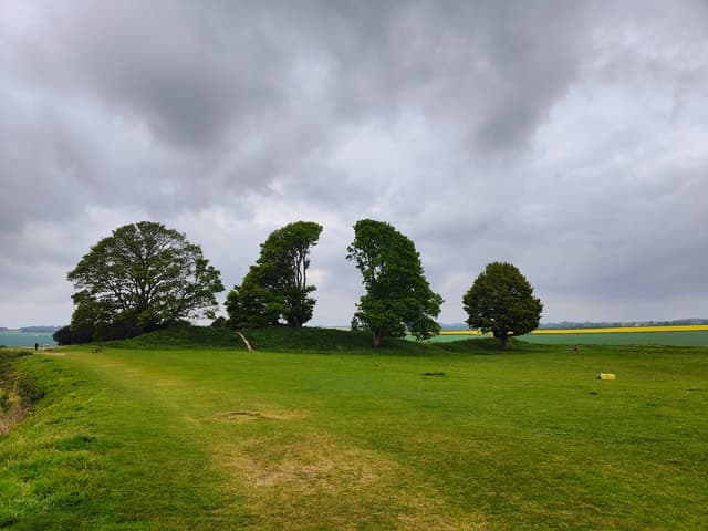 Aucun arbre n'a été retiré de cette photo avec les outils de montage de l'OPPO Find X5.