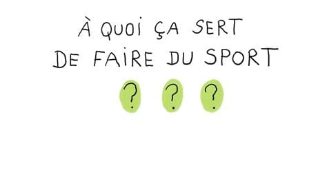 Découvrez les réponses aux questions que se posent les enfants dans "1 jour 1 question" sur SFR Kids Récré. Découvrez les réponses aux questions que se posent les enfants dans "1 jour 1 question" sur SFR Kids Récré.