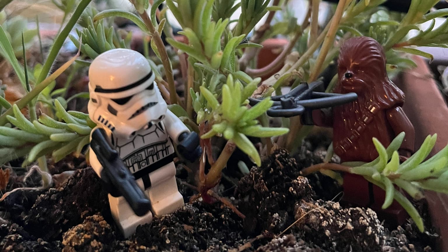 L'iPhone 13 permet de reconstituer les plus grandes scènes de Star Wars, avec un peu beaucoup d'imagination L'iPhone 13 permet de reconstituer les plus grandes scènes de Star Wars, avec un peu beaucoup d'imagination