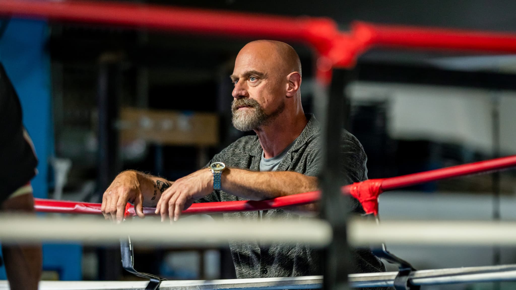 Dans les premiers épisodes de la saison 2 de "New York, crime organisé", Elliot Stabler se met dans la peau d'un dangereux criminel pour infiltrer un gang albanais. Dans les premiers épisodes de la saison 2 de "New York, crime organisé", Elliot Stabler se met dans la peau d'un dangereux criminel pour infiltrer un gang albanais.