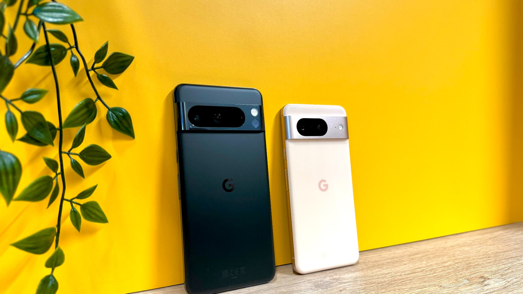 Les nouveaux Pixel 8 Pro et Pixel 8 côte à côte. 