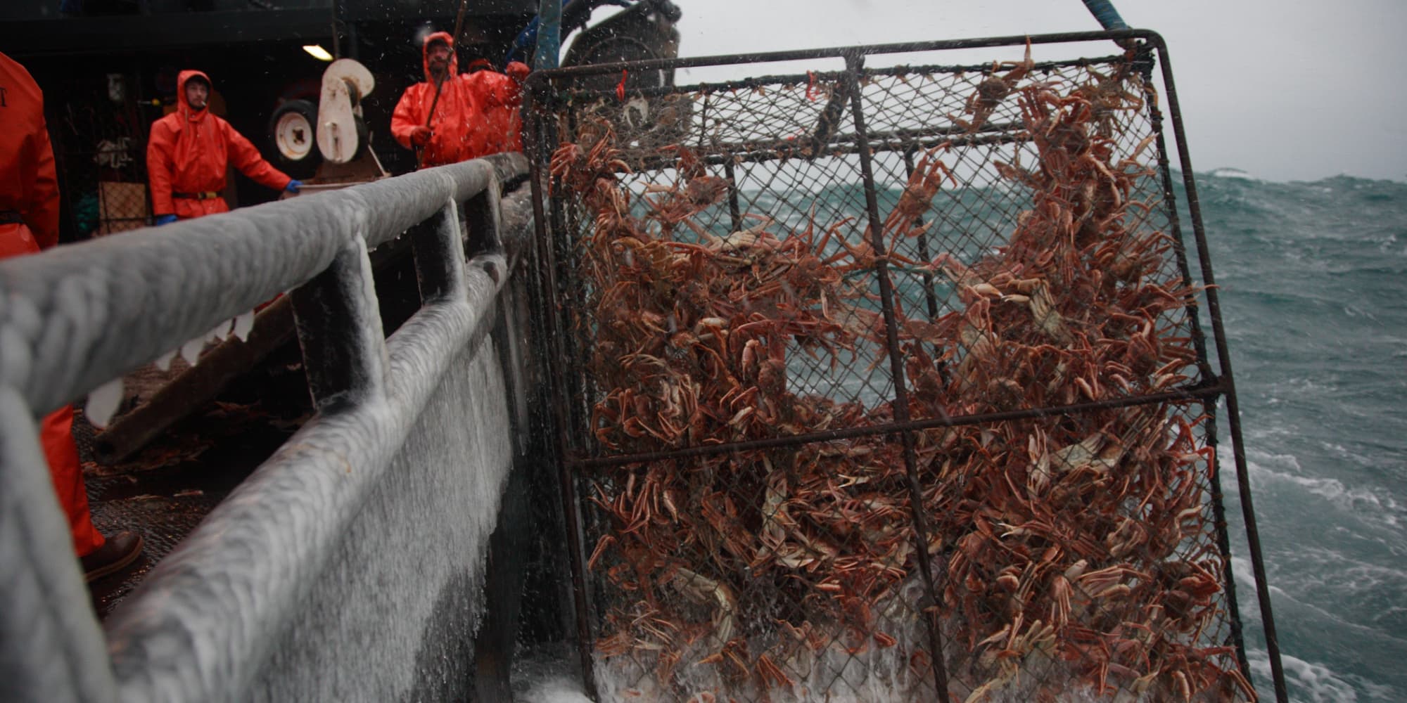 Péril en haute mer : saison 17 sur Discovery