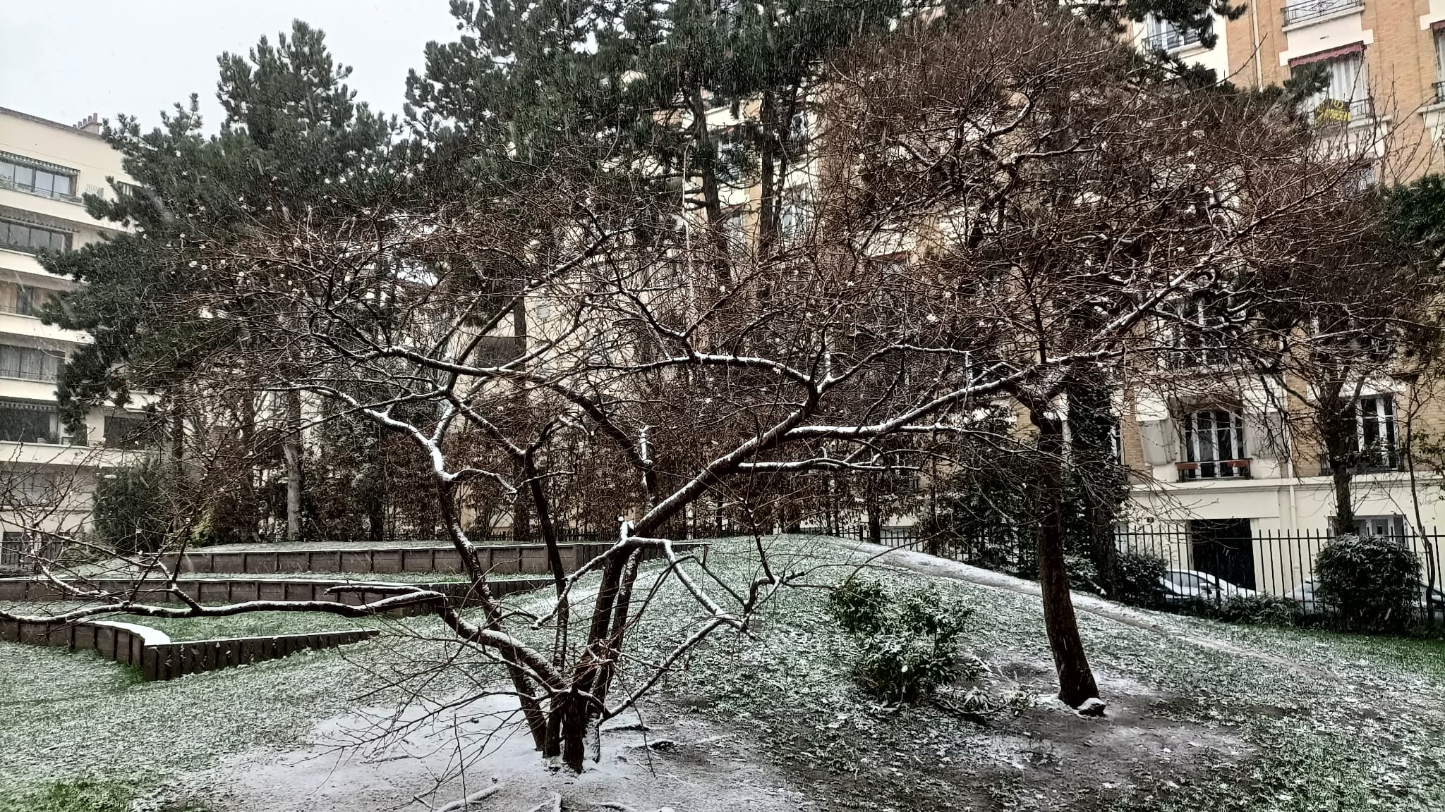 Photo prise avec l'OPPO Reno4 Z Photo prise avec l'OPPO Reno4 Z