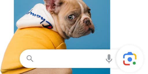 Avec la nouvelle mise à jour de Google Lens, vous allez pouvoir interroger l'appli à voix haute afin de tout savoir des objets qui vous entourent. 