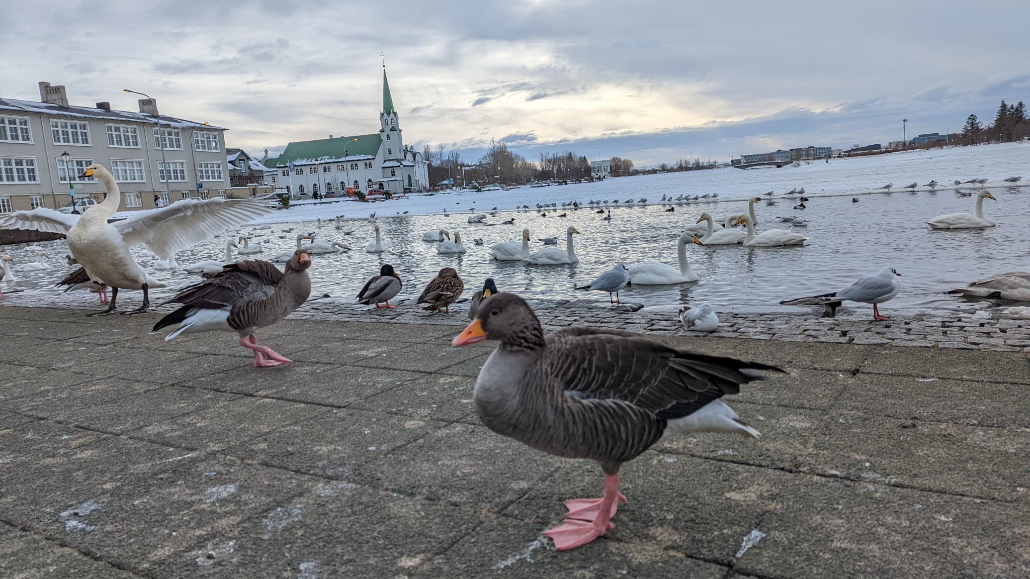 Même les mouvements et les scènes étranges sont parfaitement captés par le Google Pixel 6 Pro Même les mouvements et les scènes étranges sont parfaitement captés par le Google Pixel 6 Pro