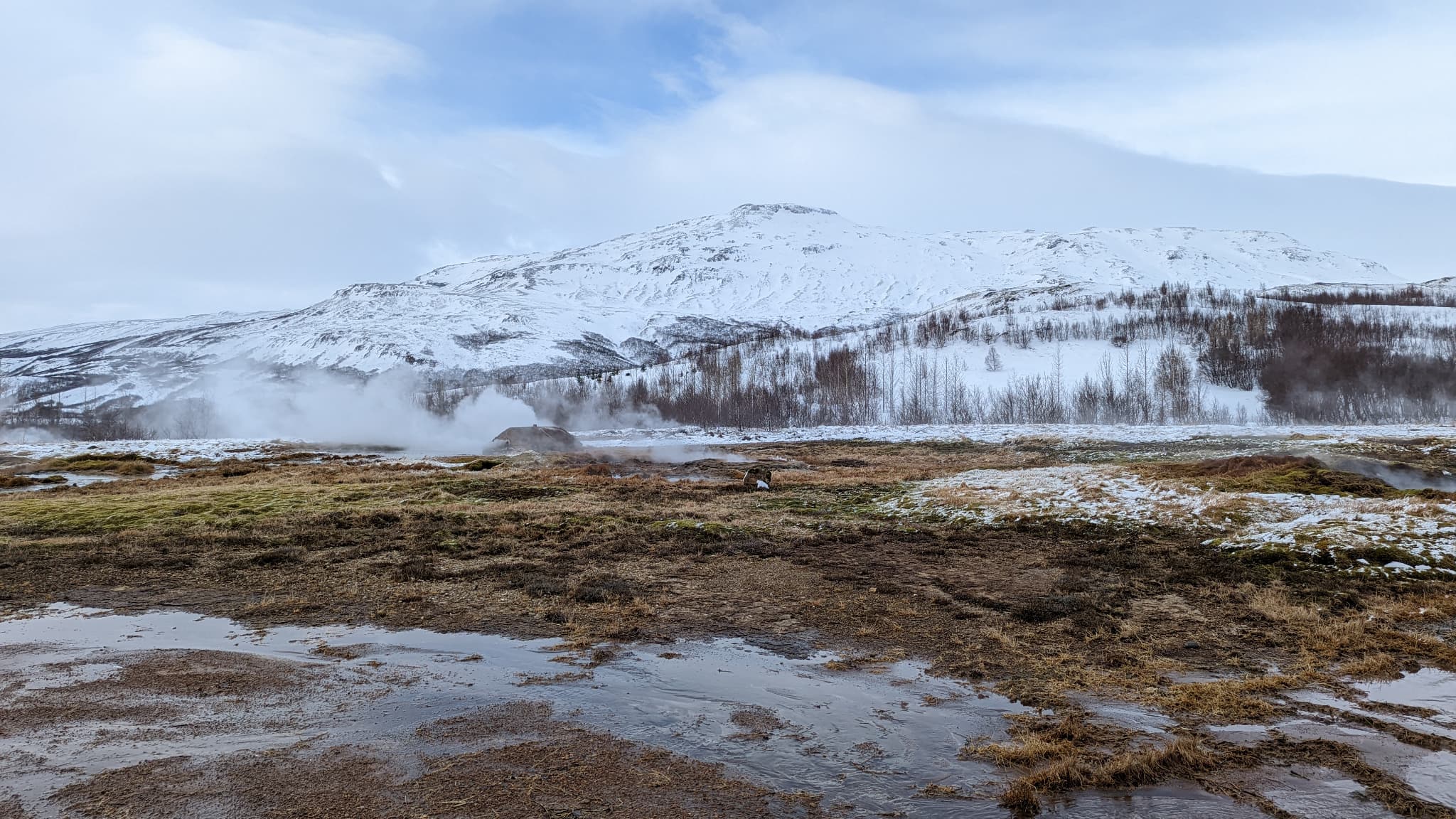 Un autre exemple de bonne captation des couleurs par l'IA du Google Pixel 6 Pro Un autre exemple de bonne captation des couleurs par l'IA du Google Pixel 6 Pro