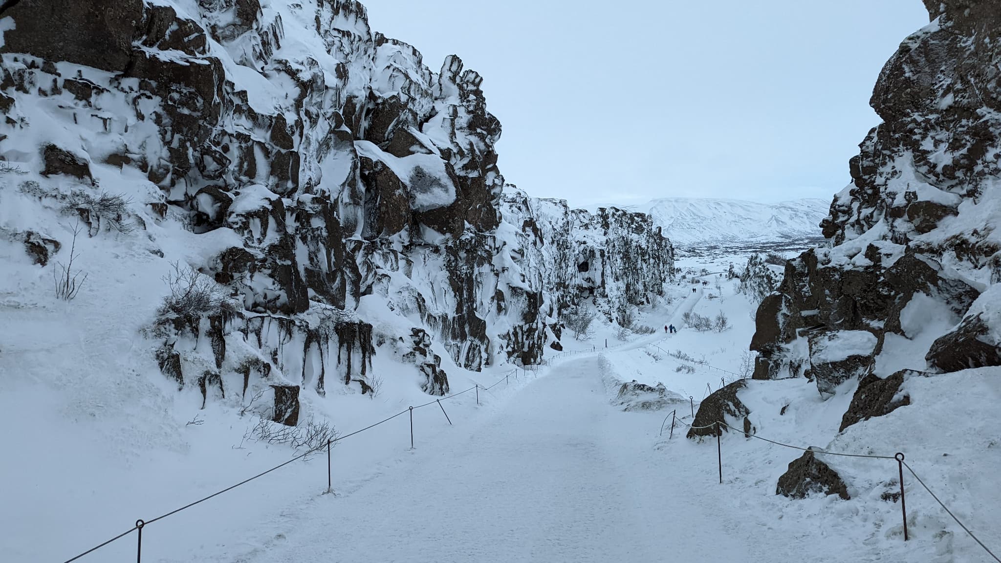 L'appareil photo du Google Pixel 6 Pro ne semble pas avoir de faille L'appareil photo du Google Pixel 6 Pro ne semble pas avoir de faille