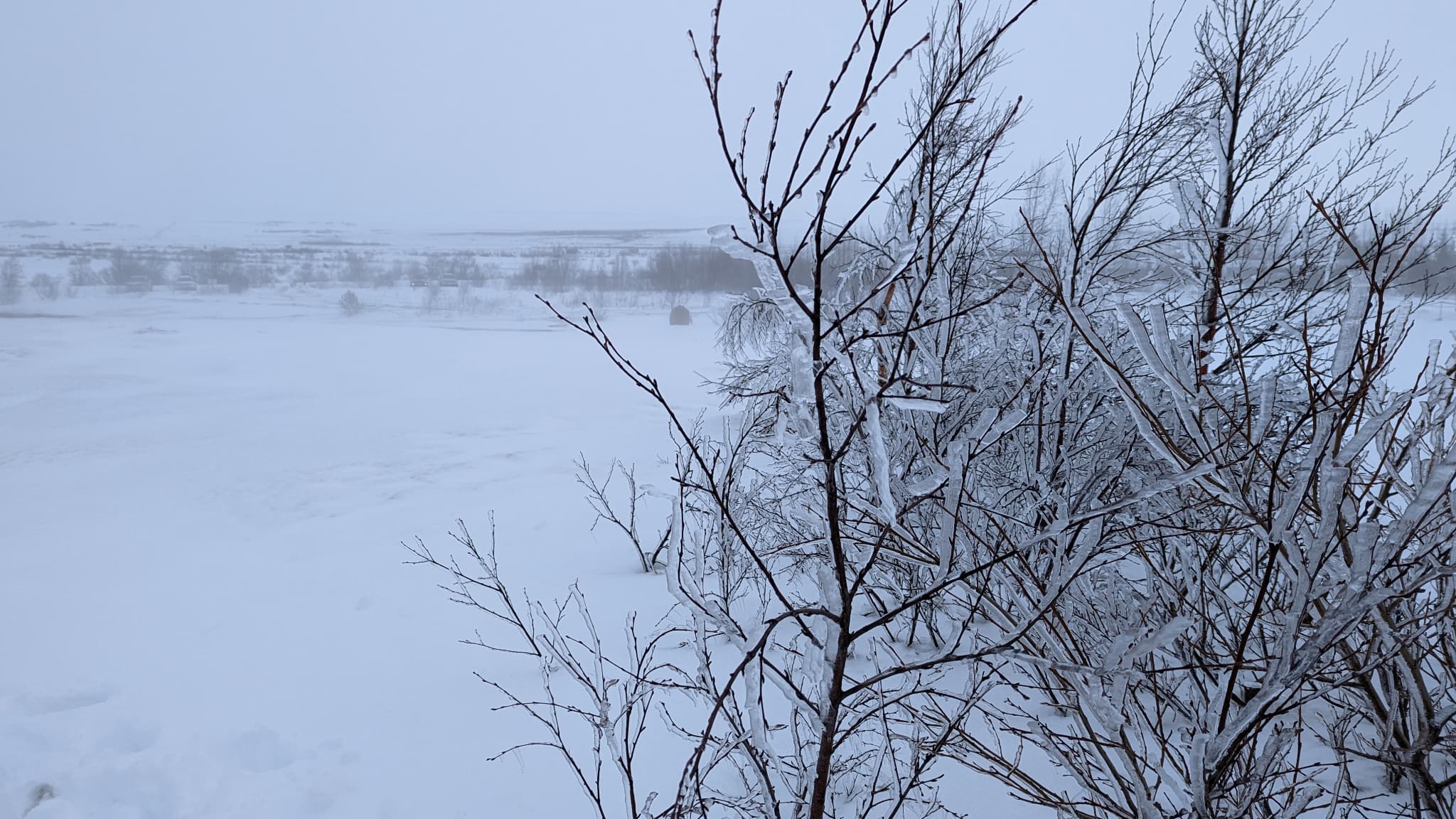 Le téléobjectif permet de passer au mode Macro pour saisir les petits détails Le téléobjectif permet de passer au mode Macro pour saisir les petits détails