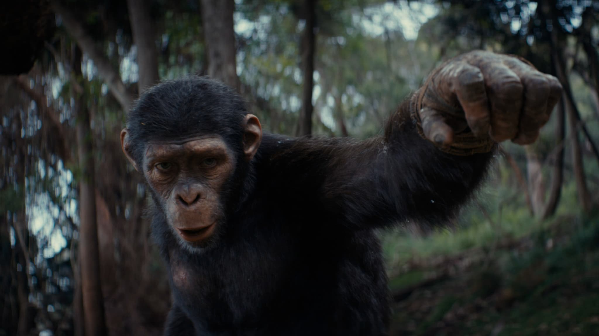 Owen Teague a appris les mimiques de singe avec d'autres acteurs dans ce qu'il a appelé une "Ape School"