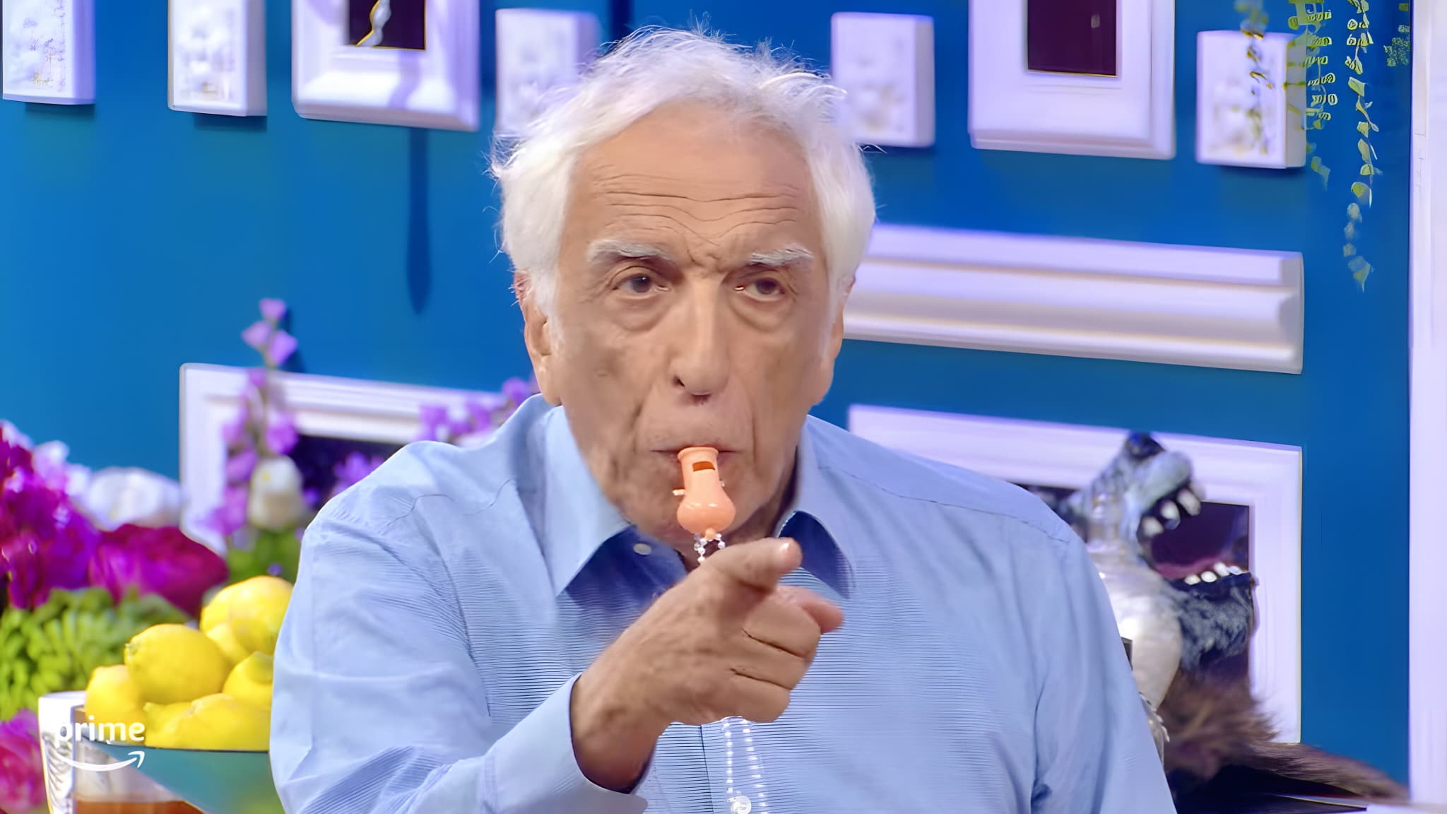 Gérard Darmon cèdera-t-il au fou rire dans cette saison spéciale Halloween ? Gérard Darmon cèdera-t-il au fou rire dans cette saison spéciale Halloween ?