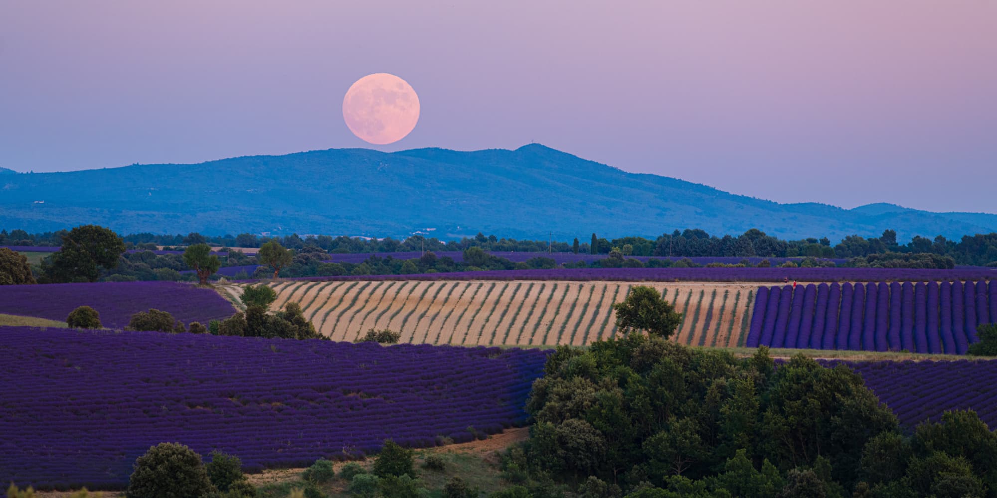 Pour l'éclipse lunaire du 7 septembre 2025, découvrez nos astuces pour immortaliser ce moment avec votre smartphone !