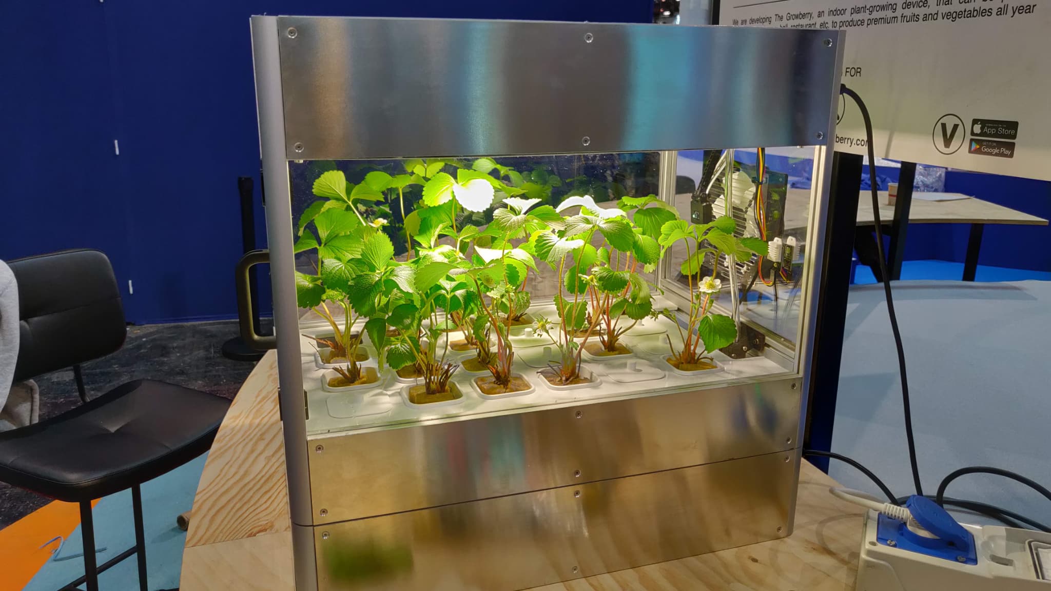 Growberry, une innovation vous permettant de faire pousser un potager en ville, même en intérieur.