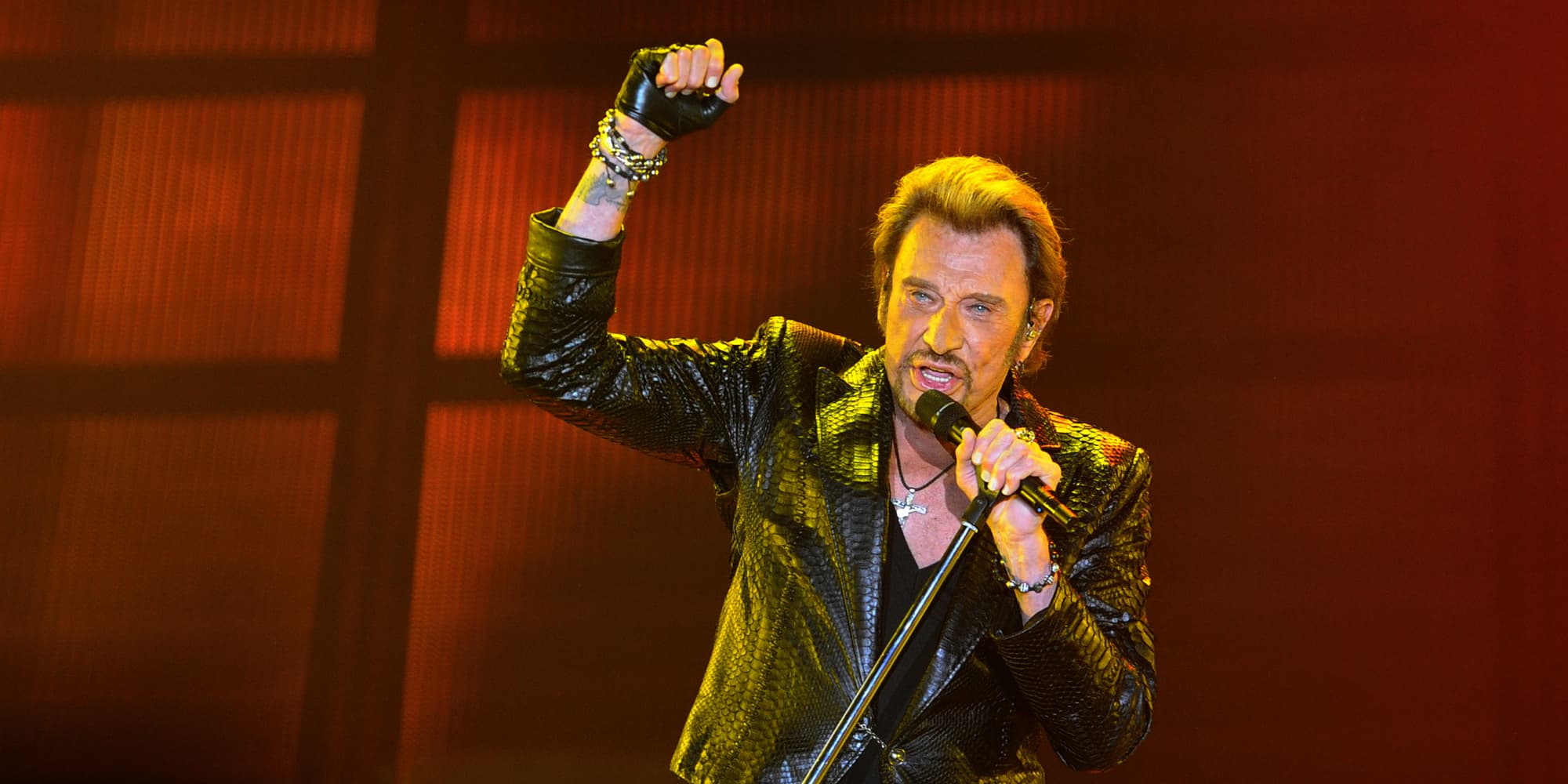 Johnny Hallyday sur scène à Bordeaux, le 2 juin 2013.