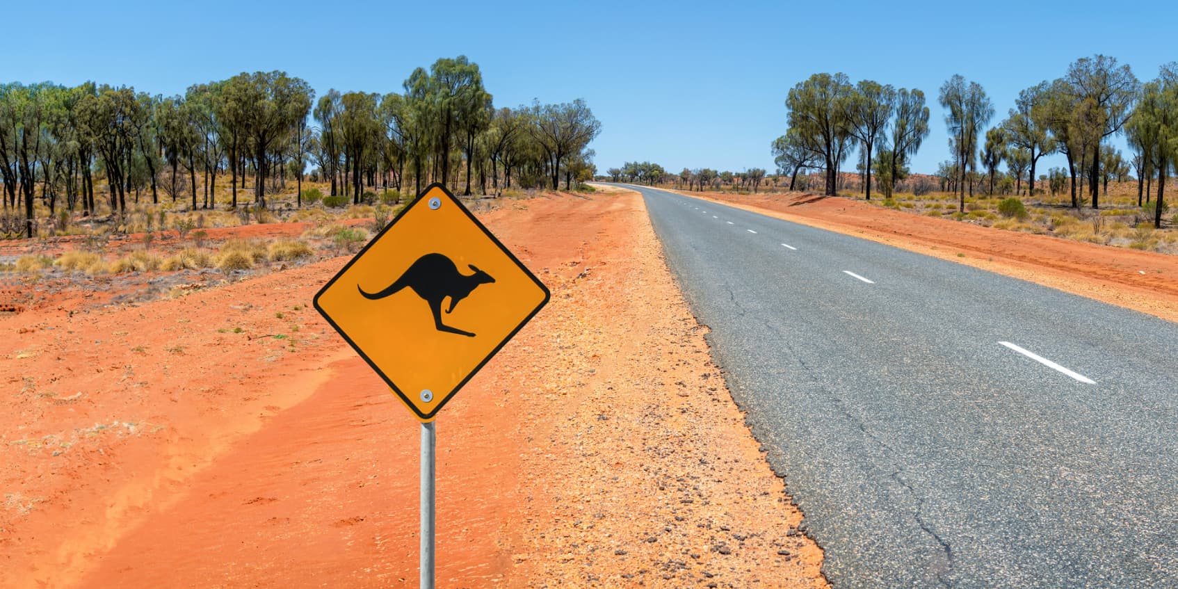 Le 2 octobre 2023, un kangourou a provoqué un accident de la route, mettant en grave danger la vie d'une conductrice australienne.