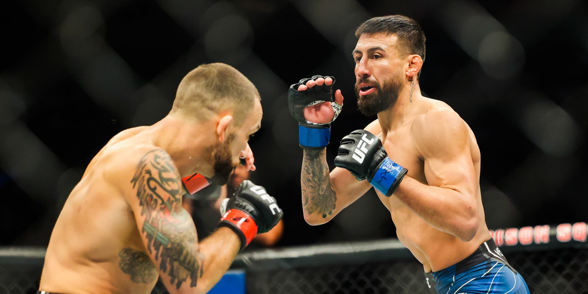 Chris Gutierrez (gants bleus) lors de son combat face à Frankie Edgar à l'UFC 281, le 12 novembre 2022 au Madison Square Garden de New York.