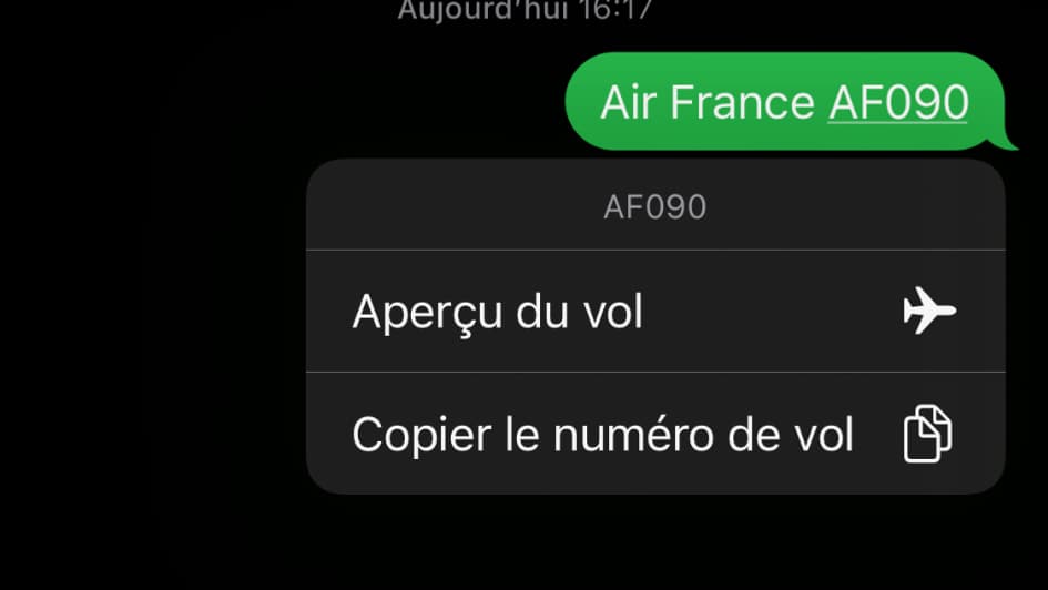 En cliquant sur le numéro du vol, deux boutons apparaissent En cliquant sur le numéro du vol, deux boutons apparaissent