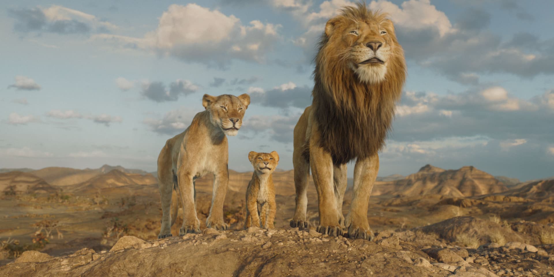 Barry Jenkis, réalisateur oscarisé, nous présente ''Mufasa'', l'histoire du père de Simba.