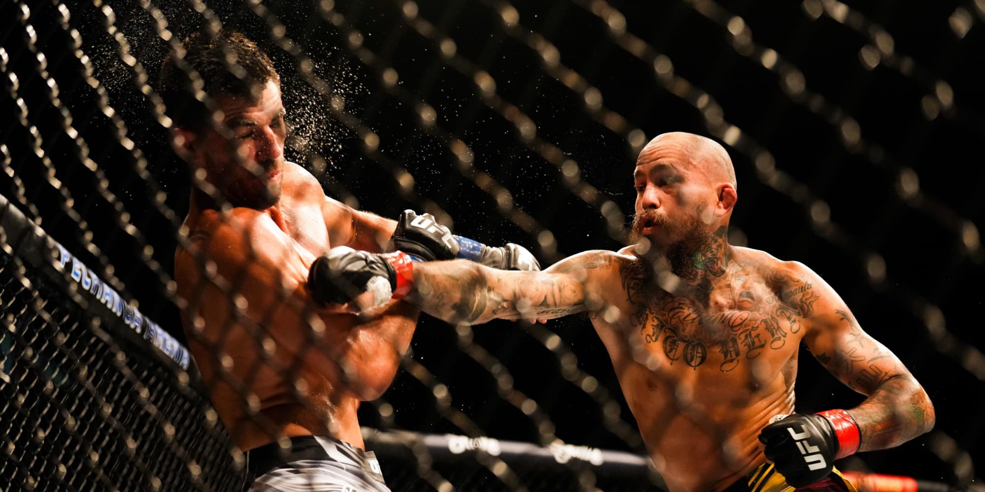 Marlon Vera (gants rouges) face à Dominick Cruz (gants bleus) lors de l'UFC Fight Night à San Diego, le 13 août 2022