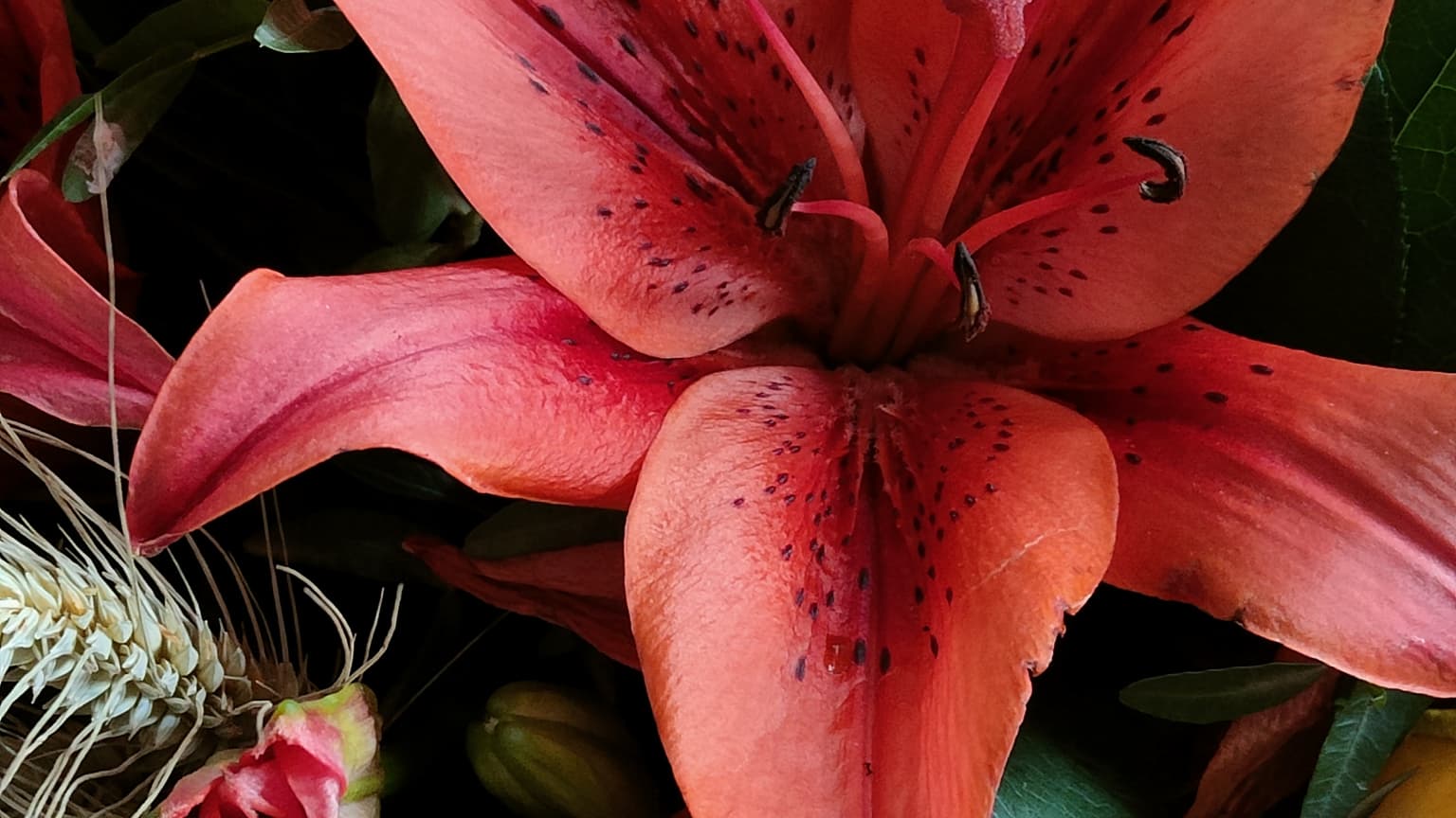 Les couleurs d'un bouquet ressortent parfaitement en mode macro