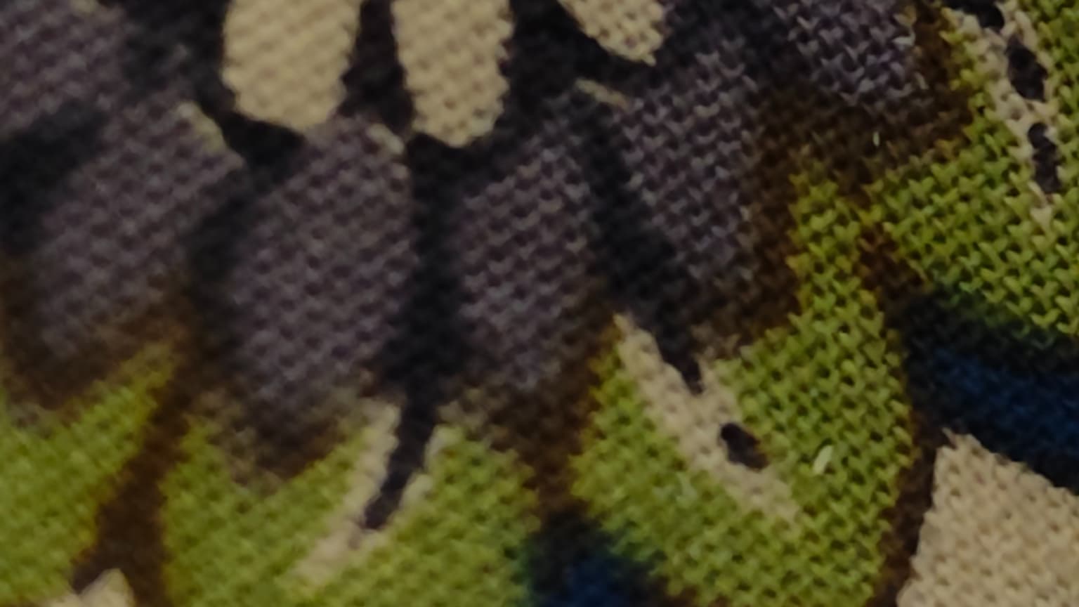 Photo prise avec zoom x2 Photo prise avec zoom x2