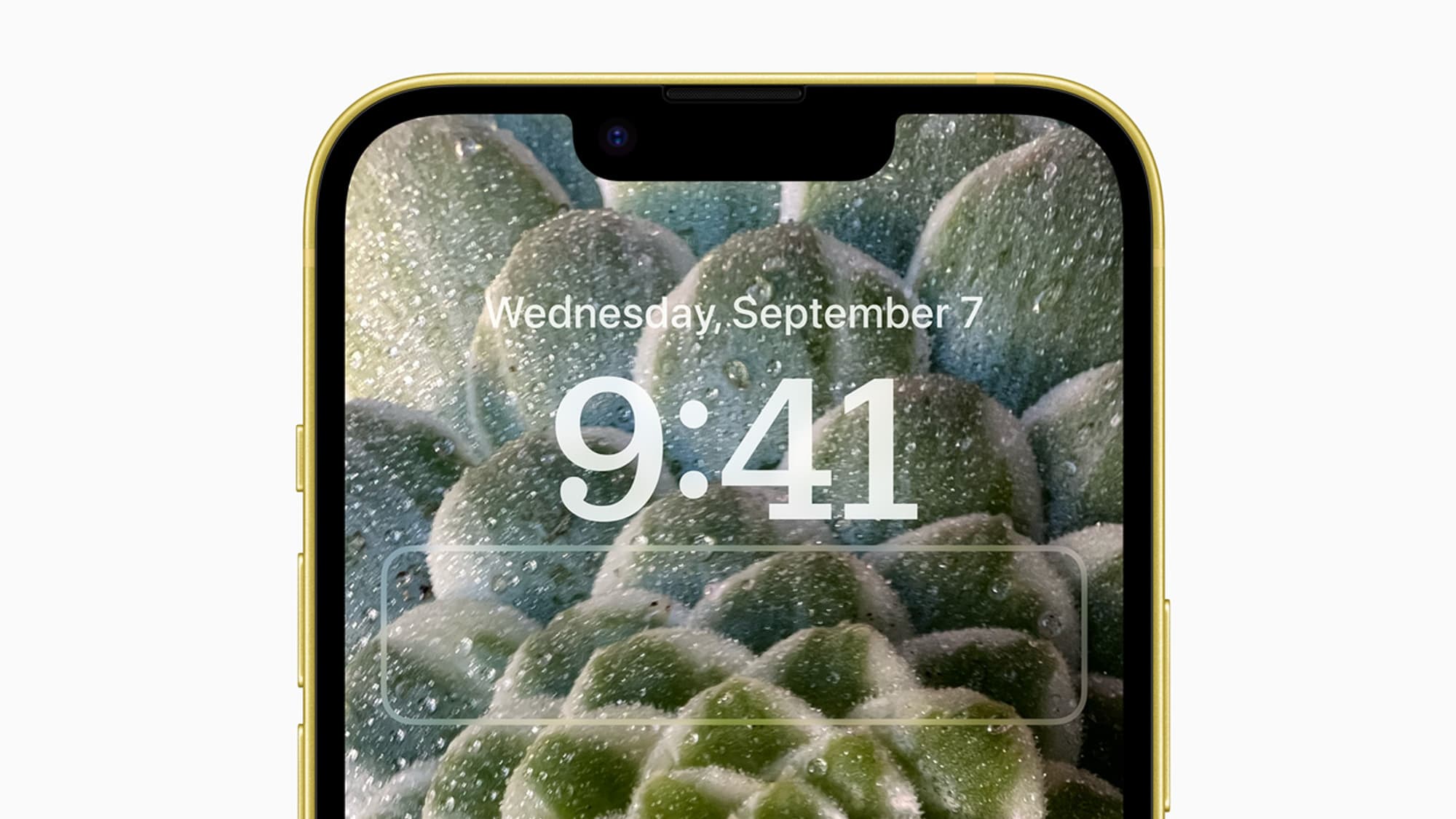 Apple iPhone 11 : une notification pour signaler les écrans non