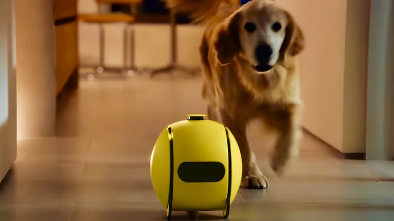 On a joué avec le chien robot de Xiaomi et il ne sait rien faire