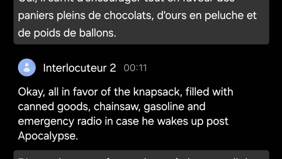 Quelques limites se font toutefois ressentir dans la traduction...