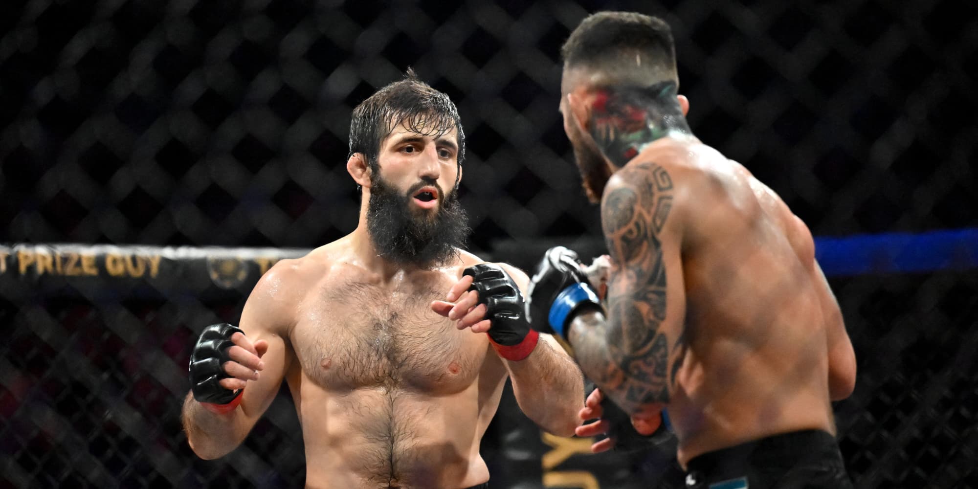 Le combattant du PFL Abdoul Abdouraguimov, le 14 décembre 2024 à la LDLC Arena (Lyon).
