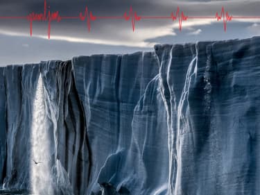 Pearl Jam fait son grand retour avec Gigaton