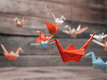 Apprenez à faire des origamis en famille sur SFR Kids Récré