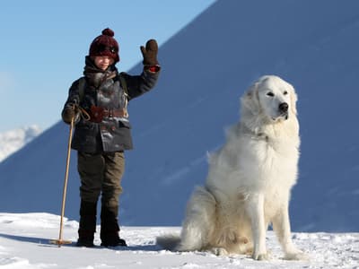 Un jour, un film de Noël : 12 décembre - Belle et Sébastien