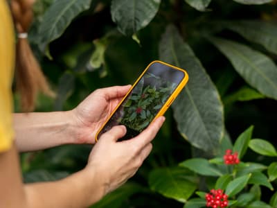 iPhone : une fonctionnalité cachée de l'app Photos très utile
