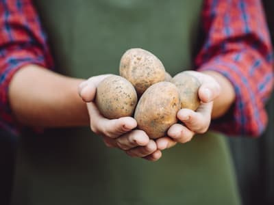 Au CES, il présente une... patate connectée