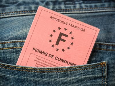 Le permis de conduire est disponible sur smartphone
