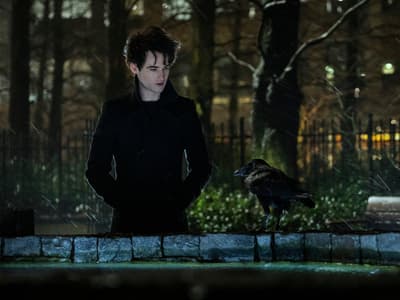 Sandman : date, intrigue, casting... Tout ce qu'on sait de la saison 2