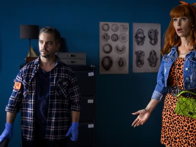 HPI : est-ce qu'il y aura une saison 5 ?