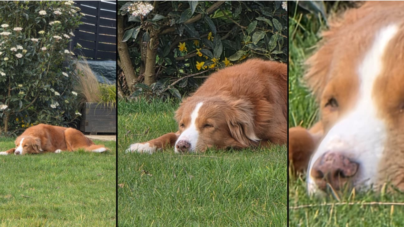 Zoom x10, Zoom x30 et Zoom x100