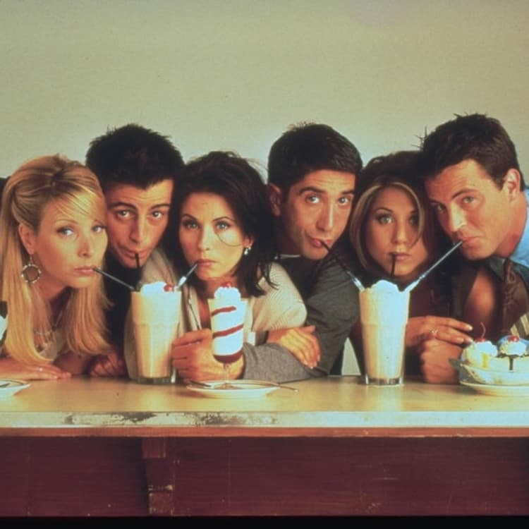 Les 10 Sitcoms Américaines Les Plus Populaires Friends fête ses 25 ans : "Celui qui aurait pu être bien différent