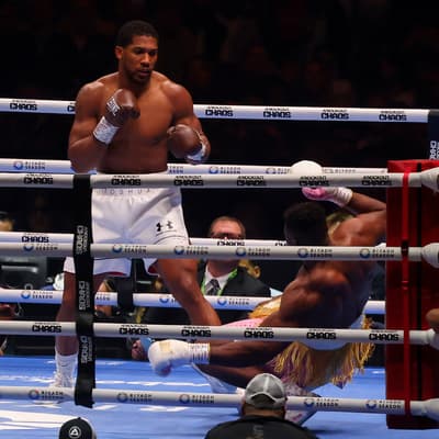 Boxe : les prochains combats de la fin de l’année 2024