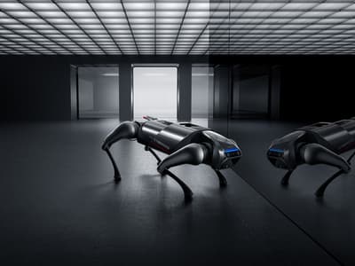 Xiaomi présente son... chien-robot