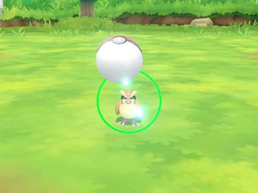 Pokémon GO : comment attraper des shiny ?