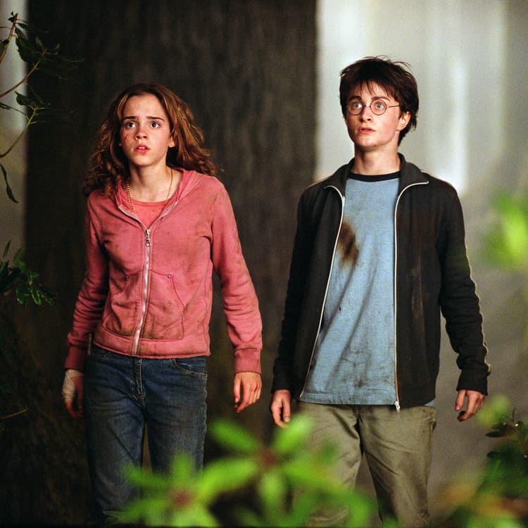 Harry Potter & Les Animaux fantastiques : dans quel ordre regarder les films de la saga ?