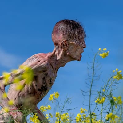 The Walking Dead, The Last of Us, Pluribus... Les films et séries de zombies sont-ils plausibles ?