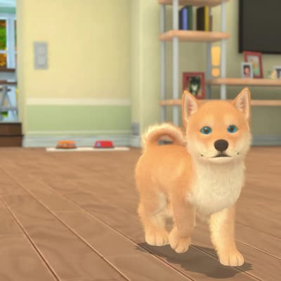 Instant Sports+ & My Universe Puppies & Kittens débarquent sur SFR Gaming