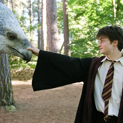 Harry Potter et le Prisonnier d'Azkaban : connaissiez-vous cette anecdote de tournage ?